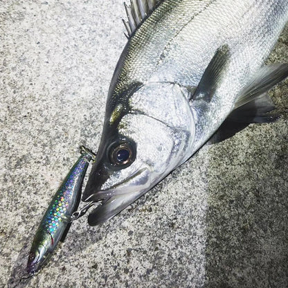 Sinking Pencil Lure 53g 10.5cm Popper Saltwater Hook Swimbait Pesca Plopper Long Cast Whopper Sea Fishing Crankbait Silicon Bait
